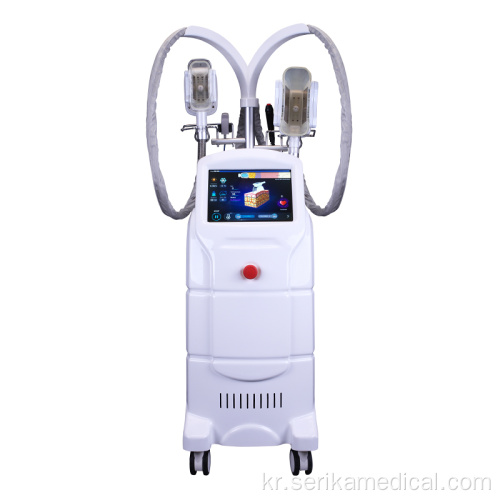 차가운 조각 뚱뚱한 동결 Cryolipolysis 기계